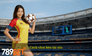 Cách chơi kèo tài xỉu